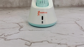 آنگل بیسیم وودپیکر