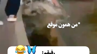 اگه ویدئو بذارم همایت میکنید. زیر این ویدئو نظر بدید   لطفا نظر بدید