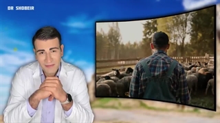 مزایای باورنکردنی پیاده روی که هرگز نشنیده اید! | Unbelievable Benefits of Walking