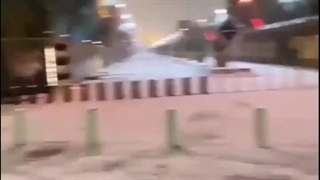 چه خلاف سر زد ازما _ استوری  | صبح ظهور