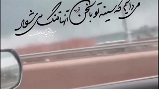 میدانیم سینه ی تو با سخن _ استوری | صبح ظهور