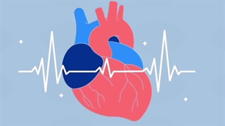 چگونه استرس را ازبین ببریم/بهترین روش درمان استرس