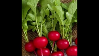 خواص باورنکردنی ترب و تربچه