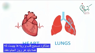 تمرینات مهم برای عملکرد صحیح قلب و ریه