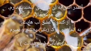 مهدی بابایی ( سوشیانت )