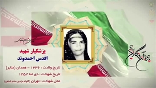شهدای بهداشت و درمان آجا