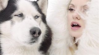 Alexandra Stan feat. Havana - Ecoute (Official Music Video)