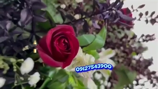 دکور شب یلدا ( ایده تزیین شب یلدا )