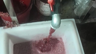 دستگاه اب انار گیری ۶ کاره۰۹۱۳۸۸۰۳۱۰۱