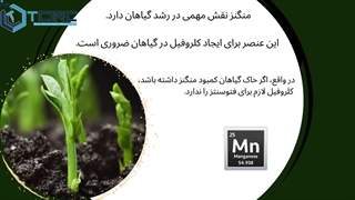 کود سولفات منگنز چه کاربردی دارد؟