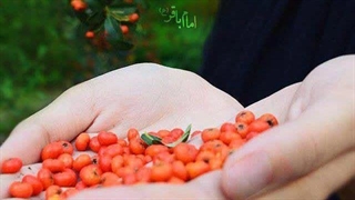 نیت (کتاب ۳ دقیقه در قیامت)