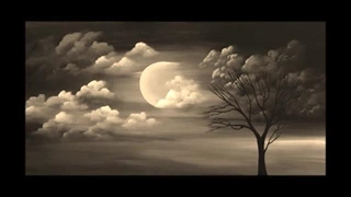 امیر شاملو - دل اگه دل باشه //  Amir Shamloo - Del Ageh Del Basheh