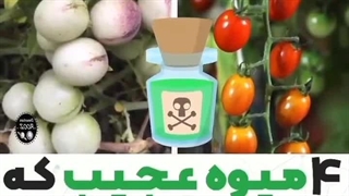 ۴ میوه عجیب