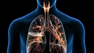 شایع ترین علایم عفونت ریه