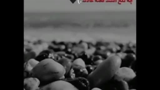 چه تلخ است قصه عادت ......