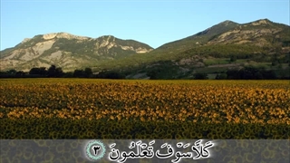 سوره تکاثر - ترجمه صوتی و تصویری ۱۱۴ سوره قرآن مهر