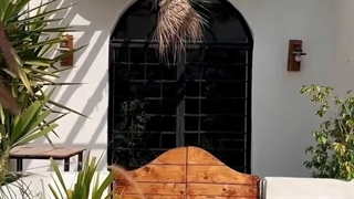 ساخت انواع کانکس های ویلایی | کانکس مسکونی | کانکس آماده | مدرن کانتین