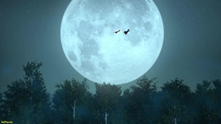 انیمه قانون شیطان Emo Faze ( Law of Devil ) قسمت 9