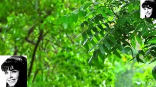 هوا ابره می باره نم نم بارون