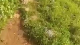 چاهی‌که‌برادران‌یوسف‌اون‌روداخل‌ش‌انداختن...