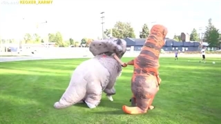 یک روز با میا وکوروش