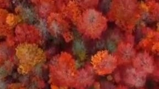 جاده چالوس در فصل پاییز _ حس یاد