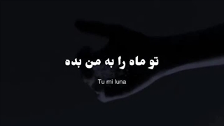 دوست دارم ...