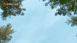 قسمت 10 سریال چینی پزشکان فوق العاده Fantastic Doctors 2023 با زیرنویس فارسی