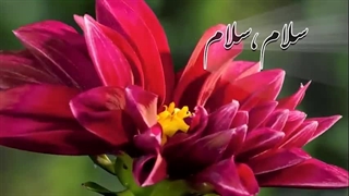 سوره واقعه - ترجمه صوتی و تصویری ۱۱۴ سوره قرآن مهر