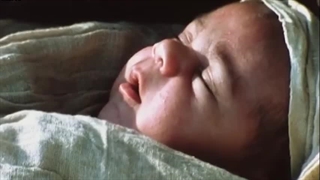 سوره طور - ترجمه صوتی و تصویری ۱۱۴ سوره قرآن مهر