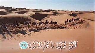 سوره جاثیه - ترجمه صوتی و تصویری ۱۱۴ سوره قرآن مهر