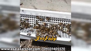 تولید گرده گل