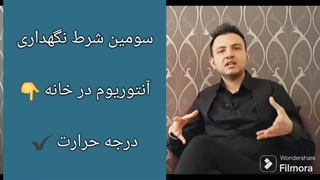 آموزش نگهداری گل آنتوریوم