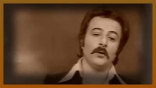 شاهرخ، کولی