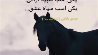 کاریکلماتور، مهدی بابایی ( سوشیانت )