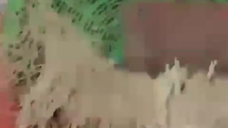 دستگاه جوانه ساز