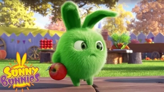 خرگوش های آفتابی | آماده کردن یک جشن