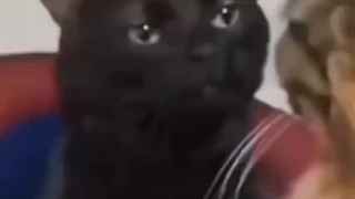 هیتر عجوزههه~_~آرمیا کپی کنیدددد۰-۰