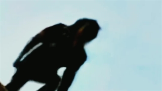 ادیت احساسی مایکل جکسون