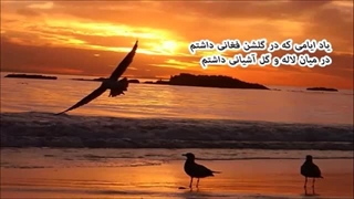 Rahi Moayeri .......... رهی معیری - نغمه حسرت