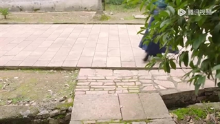 دانلود قسمت ۶ سریال چینی بانوی خردمند Wise Woman 2023 - زیرنویس فارسی چسبیده