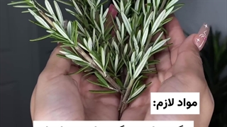 طرز تهیه جوشانده رزماری، اسپری رزماری مخصوص مو