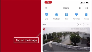 نمایش زنده از یک دستگاه داهوا در نرم افزار DMSS