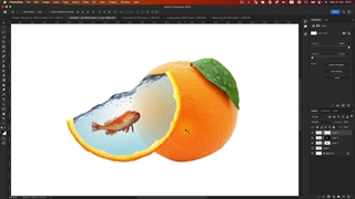 آموزش فتومونتاژ با پرتقال و ماهی در فتوشاپ