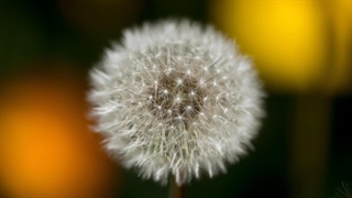 بهترین موسیقی های بی کلام جهان_Instrumental music_شماره:303