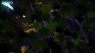 انیمه سرزمین عجایب فصل دوم قسمت 36 {76} با زیرنویس