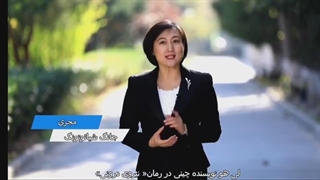 مصاحبه با لی هو نویسنده کتاب اینترنتی «نیروی درونی» داستان فانتزی جذاب و شگفت انگیز