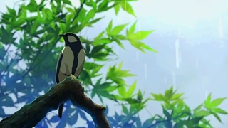 Anime/ باغ کلمات / The Garden of Words