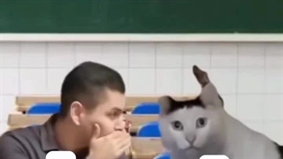 وقتی نتونستی تقلب برسونی