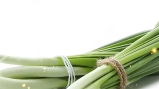 انواع نخ برای دستگاه گره زن برای دسته کردن سبزی و گل